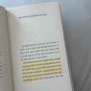 펠트남양주점 | 26년 5월, 초록이 짙어지던 계절