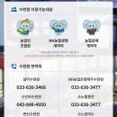 농협보험설악수련원 이미지