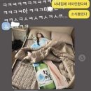 꽐라 이미지