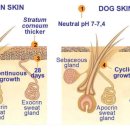 장안제일약국 이미지