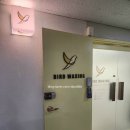 버드속눈썹