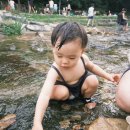 수리산 도립공원 | 서울 근교 계곡 추천 | 17개월 아기와 다녀온 수리산 도립공원 버들치계곡