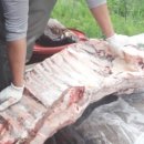 청양고덕갈비 이미지