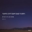 정다운딸기
