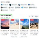 동부정보통신 - 농협앞(왕복) | 호주 시드니 여행 일정 :: 6박7일 코스 - 공항 픽업, 본다이비치 아이스버그, 타롱가주, 현지투어 + 날씨