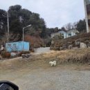 오롯이독