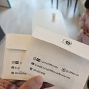 봄;1299스튜디오 이미지