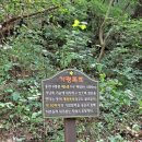개령폭포 이미지