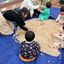 홈플러스 진주점 | 진주 홈플러스 문화센터 후기1_1일특강편/80분돌봄클래스/나무야나무야