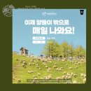원선목장 네이버블로그