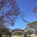 (주)뉴팜 | 🇦🇺 8주차