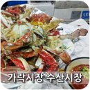 크린기획 이미지