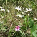 하점면주민자치센터 이미지