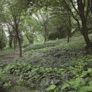 복로상회