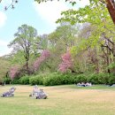 CU 동선중앙점 이미지