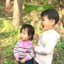지유네일 이미지