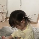 퓨아렌