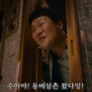 수아약국 이미지