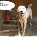 보니토리