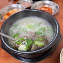 선돌농장 | [영월] 강원도 영월 2박3일 동강캠핑 여름캠핑 영월서부시장 서부순대집 동강아름캠프 A구역 다슬기채집...