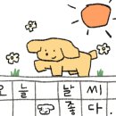 최선돈카츠 - 16799 | 최선돈카츠