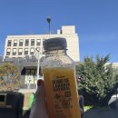 토지민박 | 포르투 4박5일 2일차_그라함스 한국어 와이너리투어/포르투 쇼핑(오이쇼)/자전거타고 마토지뉴스 해변가기