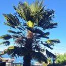 여수 보라네 펜션 이미지