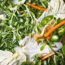 (실습)입맛 돋우는 봄김치 담그기 | 돌나물 물김치 황금레시피, 나른한 봄 입맛 깨우는 제철 요리!