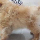 한 달 후