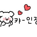 위시티사진관 이미지
