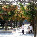 부천-중앙-부천-02 이미지