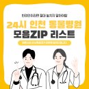 부평24시 SKY 동물의료센터 | ✅24시 인천 동물병원 리스트 정리 위치 정보 리뷰까지 전부!