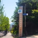 달구벌종합복지관 | 달서구노인종합복지관, 100세 힐링 프로젝트 디지털 AI 교육