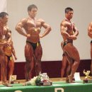 팀박피티샵 이미지