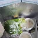 87수산 | 퀄리티 둘 다 잡은🔥 파주 야당역 근처 대방어/회 포장 맛집 ‘어원수산’ 솔직후기 (N번째 내돈내산)