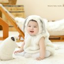 250스튜디오 이미지