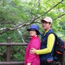 지리산산밭골