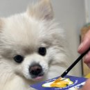 (주) 유노테크 이미지