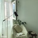 오투그린 세탁 이미지