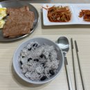 행정카센타 | 🍃💐봄이 불쑥 다가온 3월 3주🍃💐