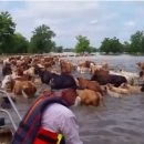 카우보이목장 이미지