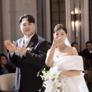 프로메사 이미지