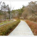 남목역사누리길 이미지