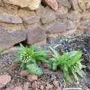 둥지식당 이미지