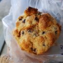 세종온누리약국 앞 이미지