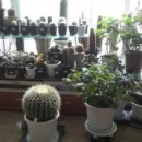 금호농장 이미지