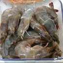 '개'밥도둑 이미지