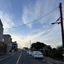 숲속의안뜰 | 제주맛집추천 왕돈까스맛집 법환포구근처 올레안뜰 (주차정보 / 영업시간 / 웨이팅 / 내돈내산)