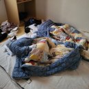 남구바둑스포츠 | superstar sh*t