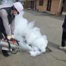 시가지도 이미지